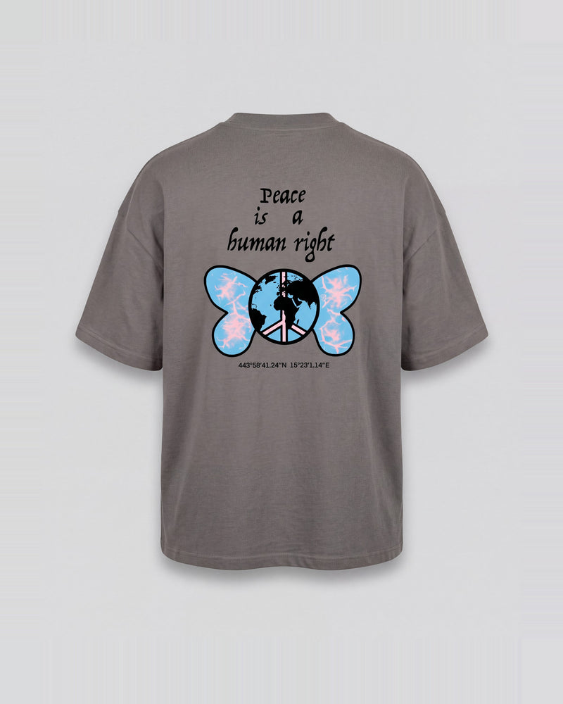Human Right-Stone Tee